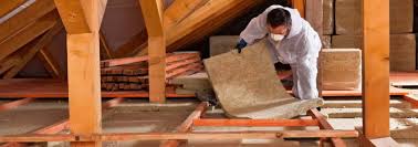 Best Weatherproofing Services  in Elk Grove Vlage, IL